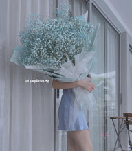 Load image into Gallery viewer, Baby&#39;s Breath (XL Sizes)
