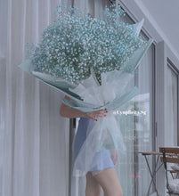 Load image into Gallery viewer, Baby&#39;s Breath (XL Sizes)
